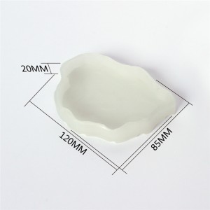 ODM Supplier China Reptile Food and Water Bowl