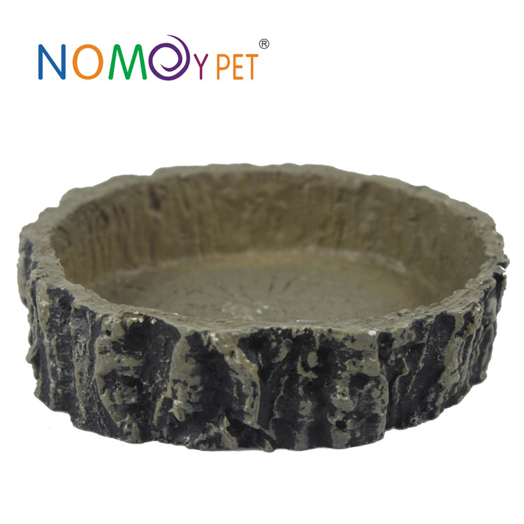 18 Years Factory Crested Gecko Coconut Hide - Resin bowl mini square – Nomoy