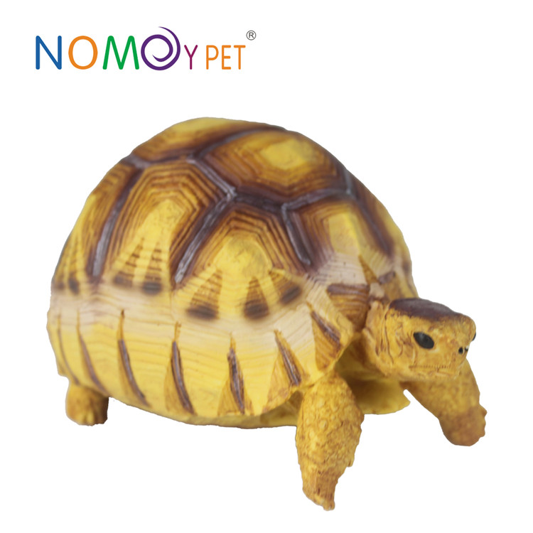 Wholesale Price China Best Feeders For Bearded Dragons - Resin turtle model Angonoka L – Nomoy