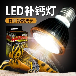 LED Calcium lights