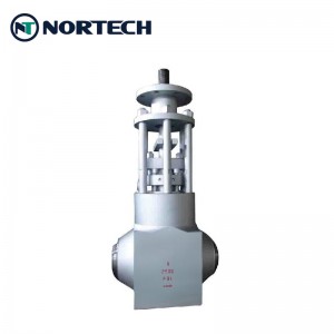 Wholesale Industrial Large size Globe Valve China factory supplier Manufacturer