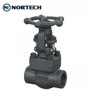 Quality Inspection for Marine Gate Valve - Forged Steel Gate Valve – Nortech