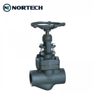 globe valve for high pressure (2)