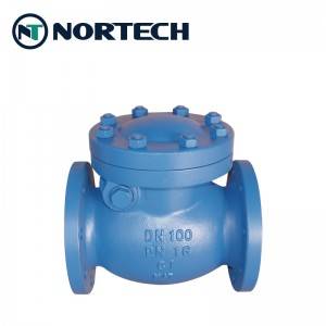 2020 High quality Check Valve With Pneumatic Actuator - Cast Iron Swing Check Valve – Nortech