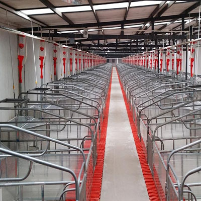 Wholesale China Modern Chicken Houses –     Sows pregnancy positioning column     – North Husbandry