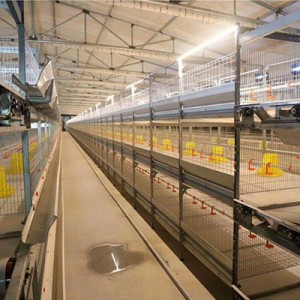 Hen coop for poultry farms