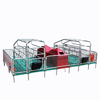 Pullet Cage Manufacturers Suppliers –  Pregnant sow breeding facilities  – North Husbandry