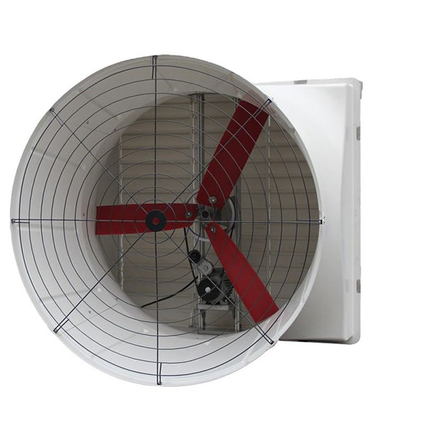 Wholesale China Bantam Hatching Eggs Factory Exporters –  FRP Wall Mounted Exhaust Fan  – North Husbandry