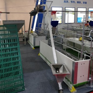 Wholesale China Automatic Chicken Coop Manufacturers Suppliers –  HOW AUTOMATIC PIG FEEDING SYSTEMS IMPROVE THE BOTTOM LINE  – North Husbandry
