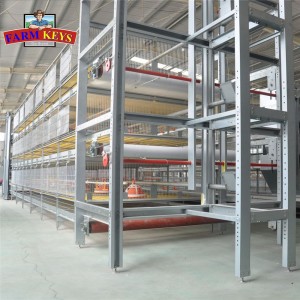 Poultry Automatic Feeding System Supplier