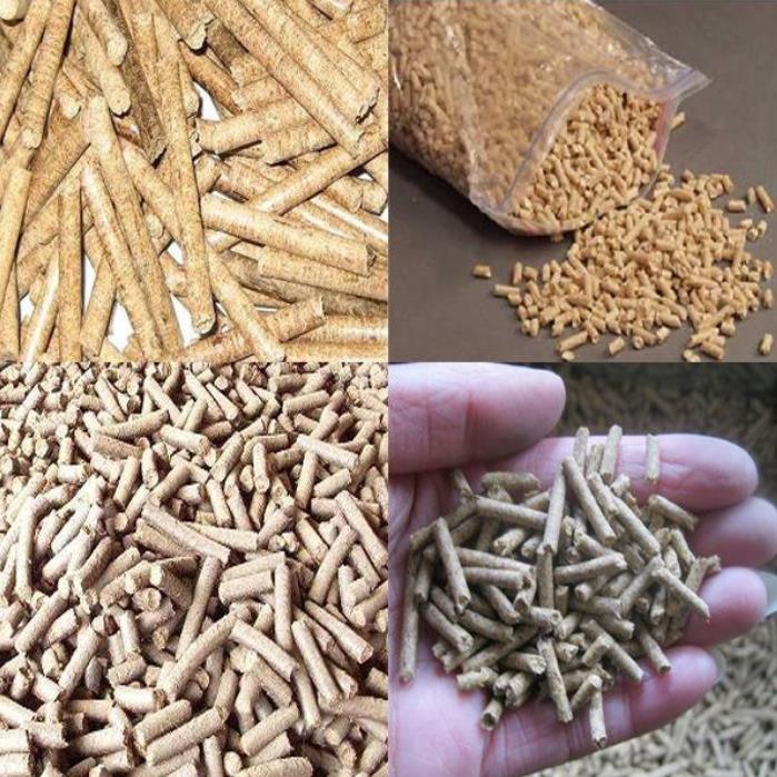 Pig Feed Pelleters Market Increasing Demand, How to set up a new livestock feed system?