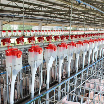Chicken Broiler House Factory Exporters –  Automatic feeding system for pig farm  – North Husbandry