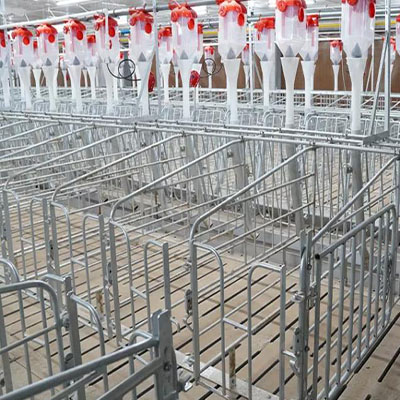 Wholesale China Bulk Grain Bin Factories Exporter –  Positioning column for pig  – North Husbandry