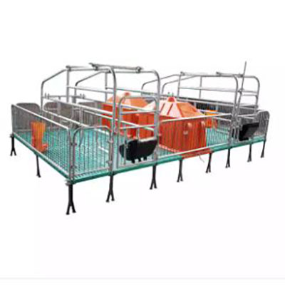 Wholesale China Drinking System Manufacturers Suppliers –  A pen used for farrowing sows  – North Husbandry