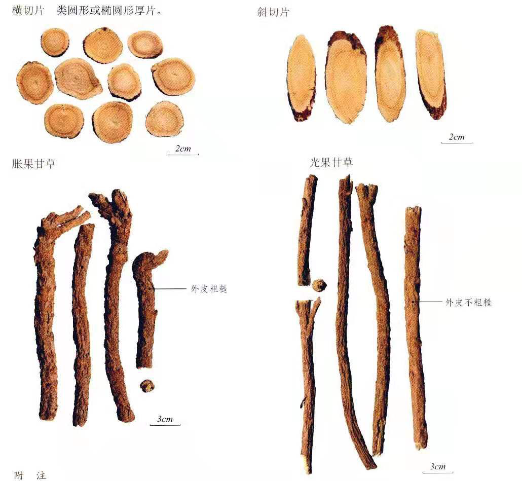 រឿងព្រេងសុខភាពនៃម្សៅ licorice