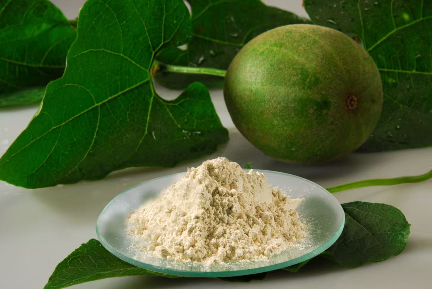 Monk Fruit Extract Mogroside V 50%