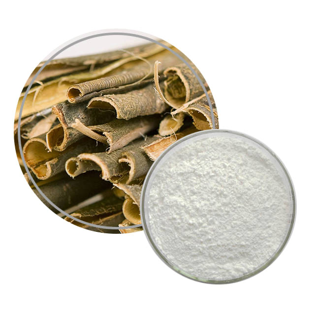 White willow extract Salicin 98%