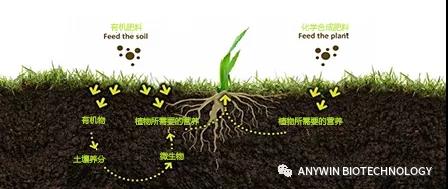 Organic Fertilizers are Good for Agriculture