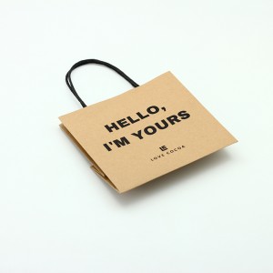 Customized Size Matte Varnishing Kraft Paper Bag With Paper Handle