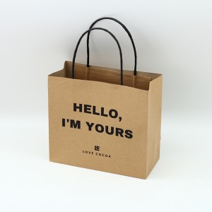 Customized Size Matte Varnishing Kraft Paper Bag With Paper Handle