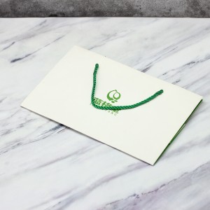 Green logo Customized Size Printed Coated Paper Bag With Handle