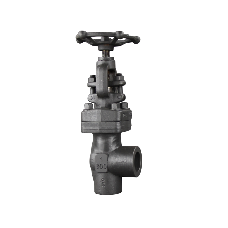 Chinese Professional Forged Steel Globe Valve - A105 Angle Valve – Newsway