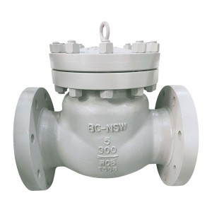 Dual Palte Check Vlave - BS 1868 Swing Check Valve – Newsway