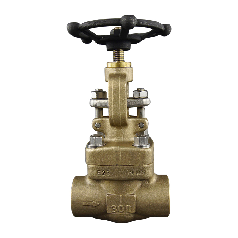 C95800 API602 globe valve