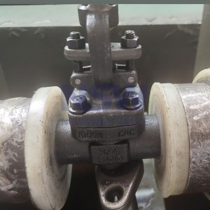 API 602 gate valve