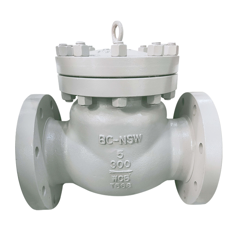 Wholesale Dealers of Non-Return Swing Check Valve - BS1868 SWING CHECK VALVE – Newsway
