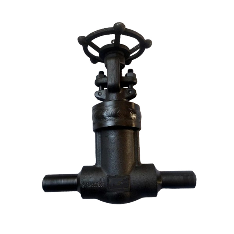 Forged Steel Globe Valve Bolted Bonnet