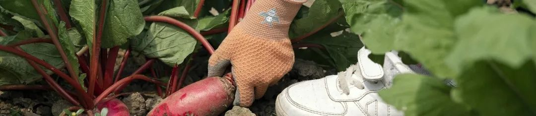 JDL safety gloves, the guardian of children's hands safety (4)