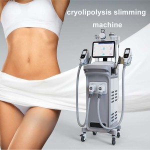 5 in 1 fat freezer 360 degree cryotherapy RF cryolysis machine