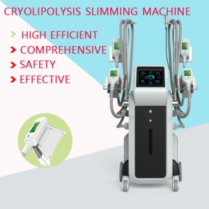 Europe Hot Selling Cryotherapy Slimming External Fileter Cryolipolysisy Emulational Massage Slimming Machine