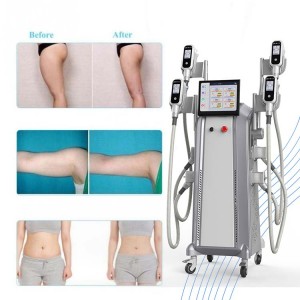 Medical Ce Approved Fat Reducing Fat Away Cost High Quality Equipment Cryolipolyse Machine