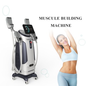 Factory wholesale Nd Yag Laser Tattoo Removal - High Intensity Focused Electromagnetic Body Shape Slimming Machine – Nubway
