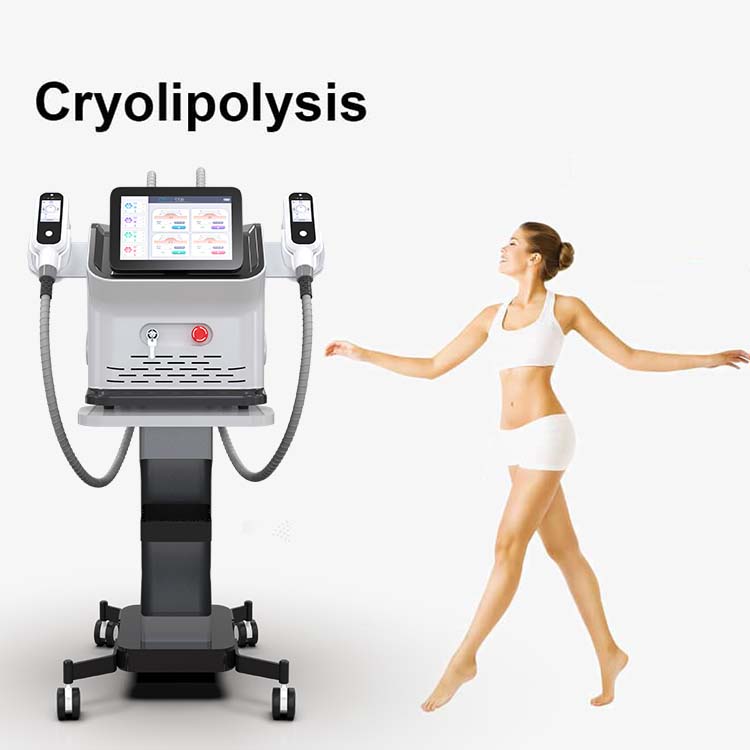 Good Quality Cryolipolysis Machine - Portable Cryolipolysis Fat Freezing Machine Weight Loss Cool System Body Arm Sculpting – Nubway