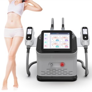 Professional Weight Lost Cyro Fat Freeze Instant Result Fat Burning 360 Degree Criolipolisis Home Use Fat Freezing Handle Cryolipolysis Slimming Machine Spa