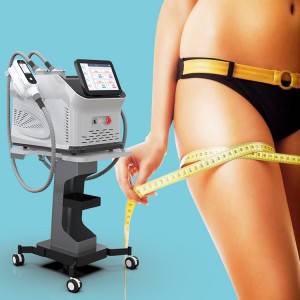 Portable Cryolipolysis Fat Freezing Machine for Removing Belly Arms Anti Cellulite