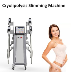 Best quality Portable Cryolipolysis Machine - 10.4 Inch Screen Cryolipolysis Machine Skin Tightening Fat Burning – Nubway