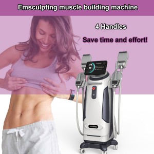 China Cheap price China Muscle Building EMS Non-Invasive Fat Burning Body Shaping Slimming Machine