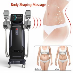 Professional Electric Muscle Stimulation Fat Reducing Ems Weight Loss Muscle Machine