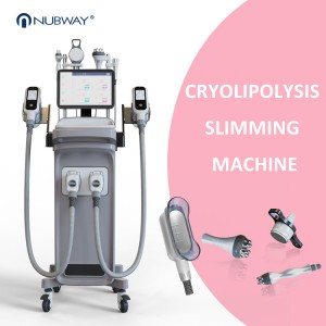 1800W Fat Frozen Cryolipolysis Slimming Machine