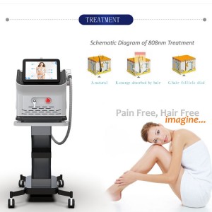China Gold Supplier for China 808nm Diode Portable Laser Epilator 755nm 808nm 1064nm Diode Laser Hair Removal Machine