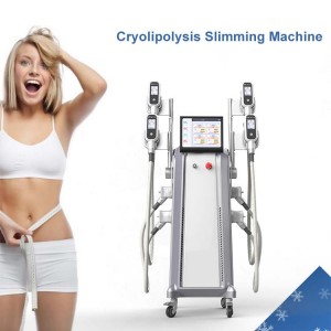Professional 360 degree cryolipolysis machine double chin removal fat burning