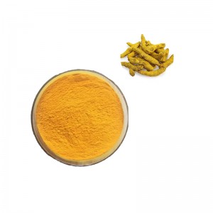 Curcumin, Turmeric extract, Turmeric Oleoresin