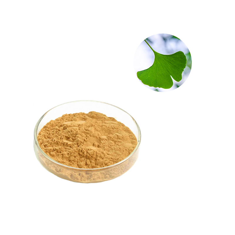Ginkgo Biloba Extract Powder, Ginkgo Leaf Extract (1)