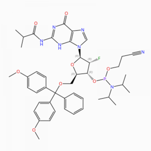 C44H53FN7O8 Guanosine, 5′ -O- [bis(4-methoxyphenyl)phenylmethyl]-2′ -deoxy-2′ – fluoro-N-(2-methyl-1-oxopropyl)-, 3′ – [2-cyanoethyl N, N-bis(1-metil etil)fosforamidit] (ACI)
