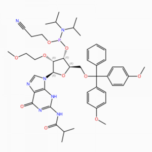 C47H60N7O10P Guanosin, 5′ -O- [bis(4-metoxyphenyl)phenylmetyl]-2′ -O-(2- metoxyetyl)-N-(2-metyl-1-oxopropyl)-, 3′ – [2-xyanoetyl N ,N-bis (1-metyletyl)photphoramit] (ACI)