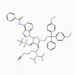 C53H66N7O8PSi CAS-NO.: 104992-55-4 Adenosiini, N-bentsoyyli-5' -O- [bis(4-metoksifenyyli)fenyylimetyyli]-2' – O- [(1,1-dimetyylietyyli)dimetyylisilyyli]-, 3′ – [2-syaanietyyli-N,N-bis(1-metyylietyyli)...